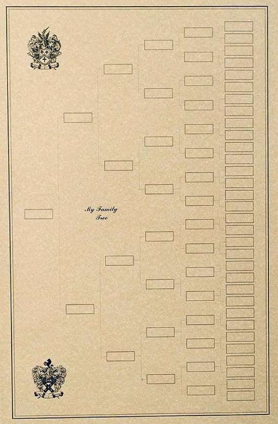 Family Tree Chart