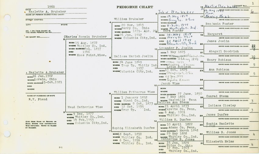 Family Tree Chart Maker