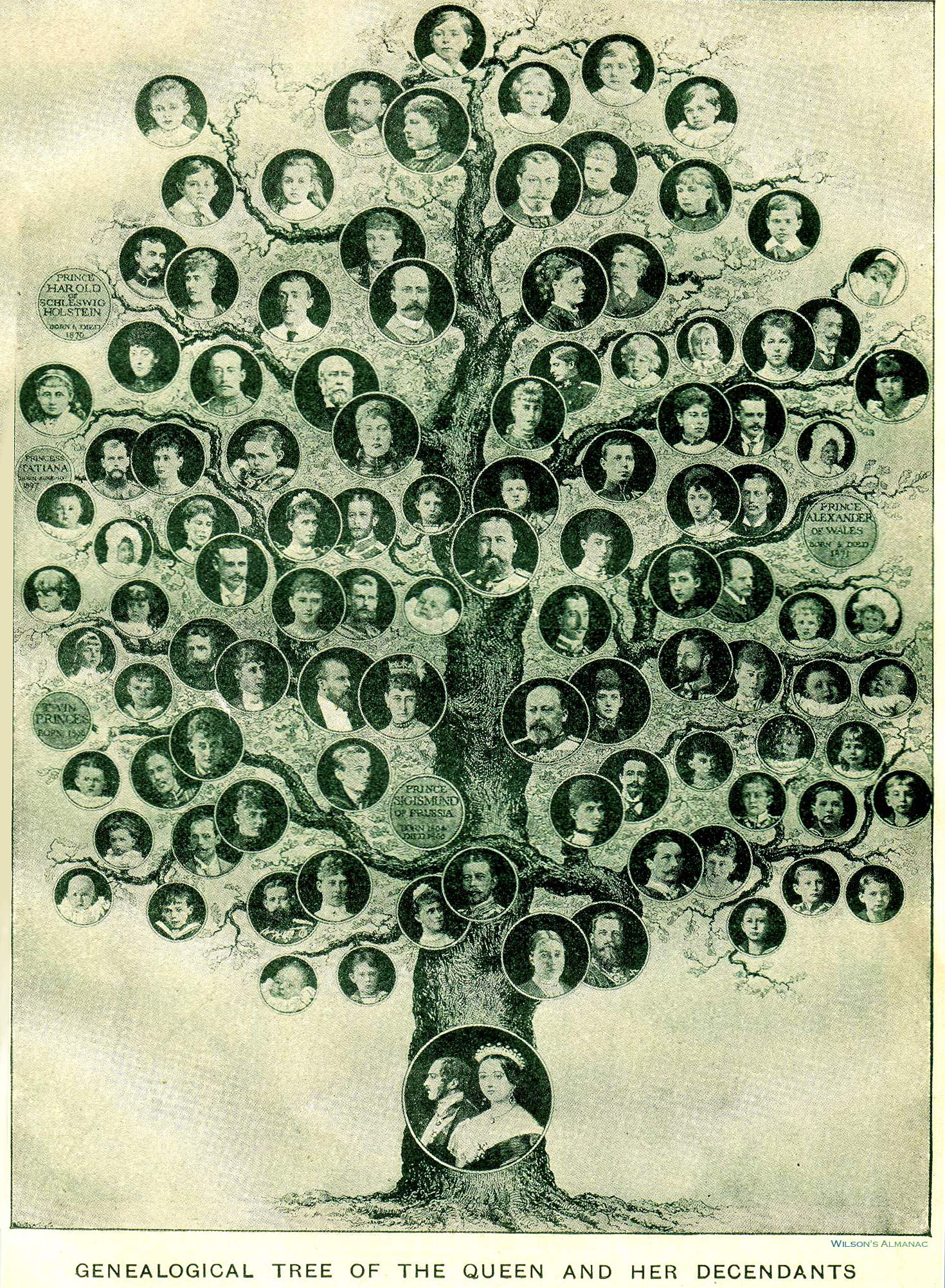 Family Tree Maker