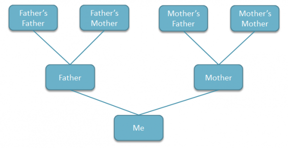 Family Tree Template Microsoft Word