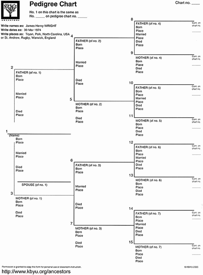 Family Tree Templates Free