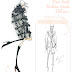 Fashion Design Sketches 2013