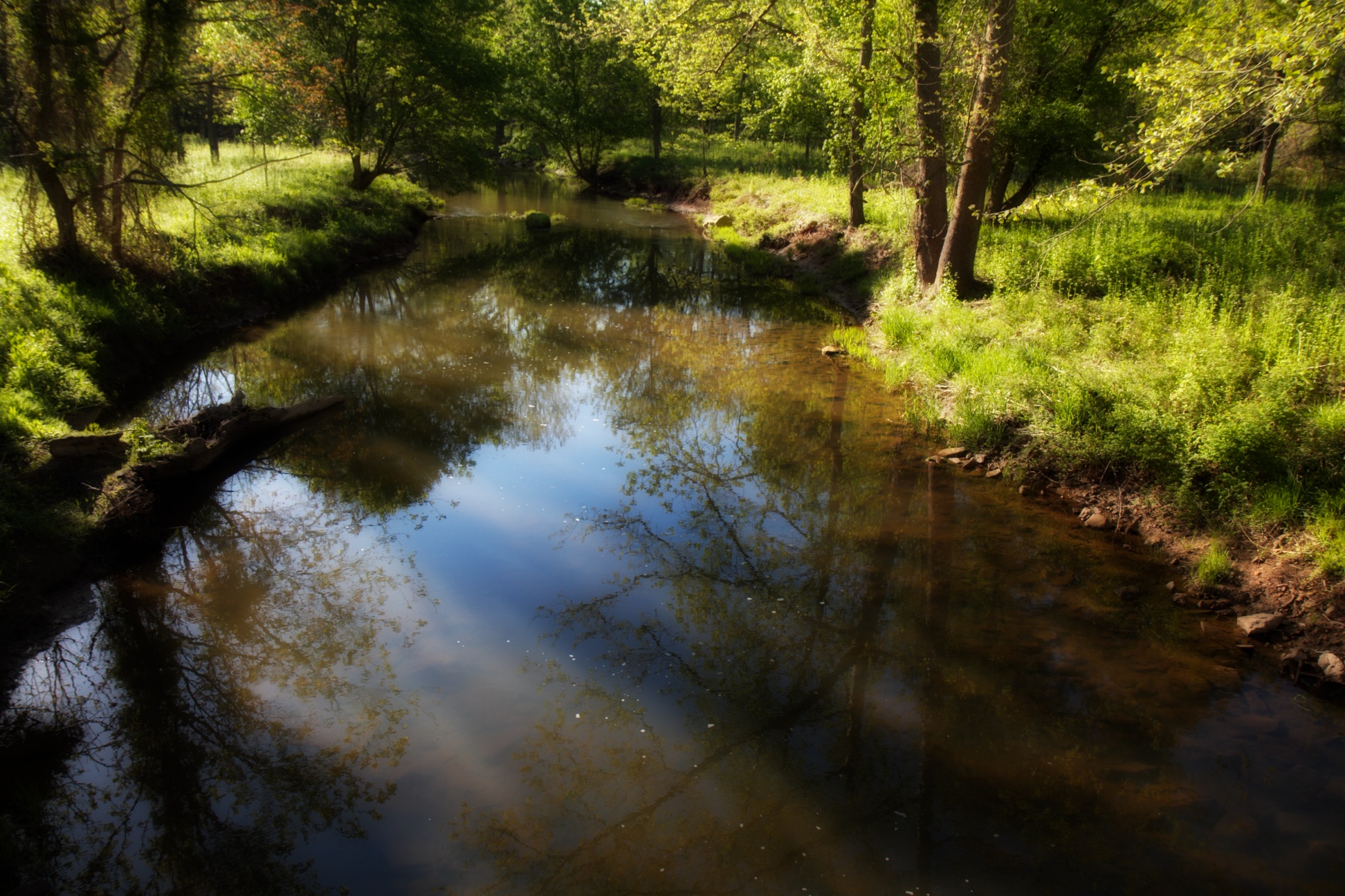 Fauquier County