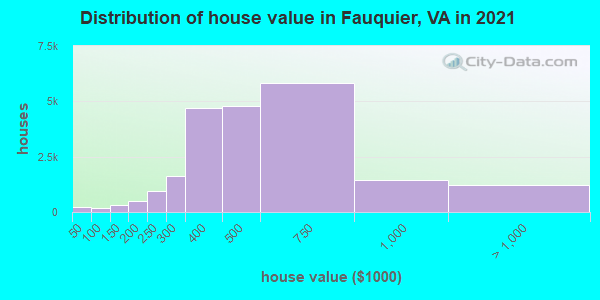 Fauquier County Va Real Estate