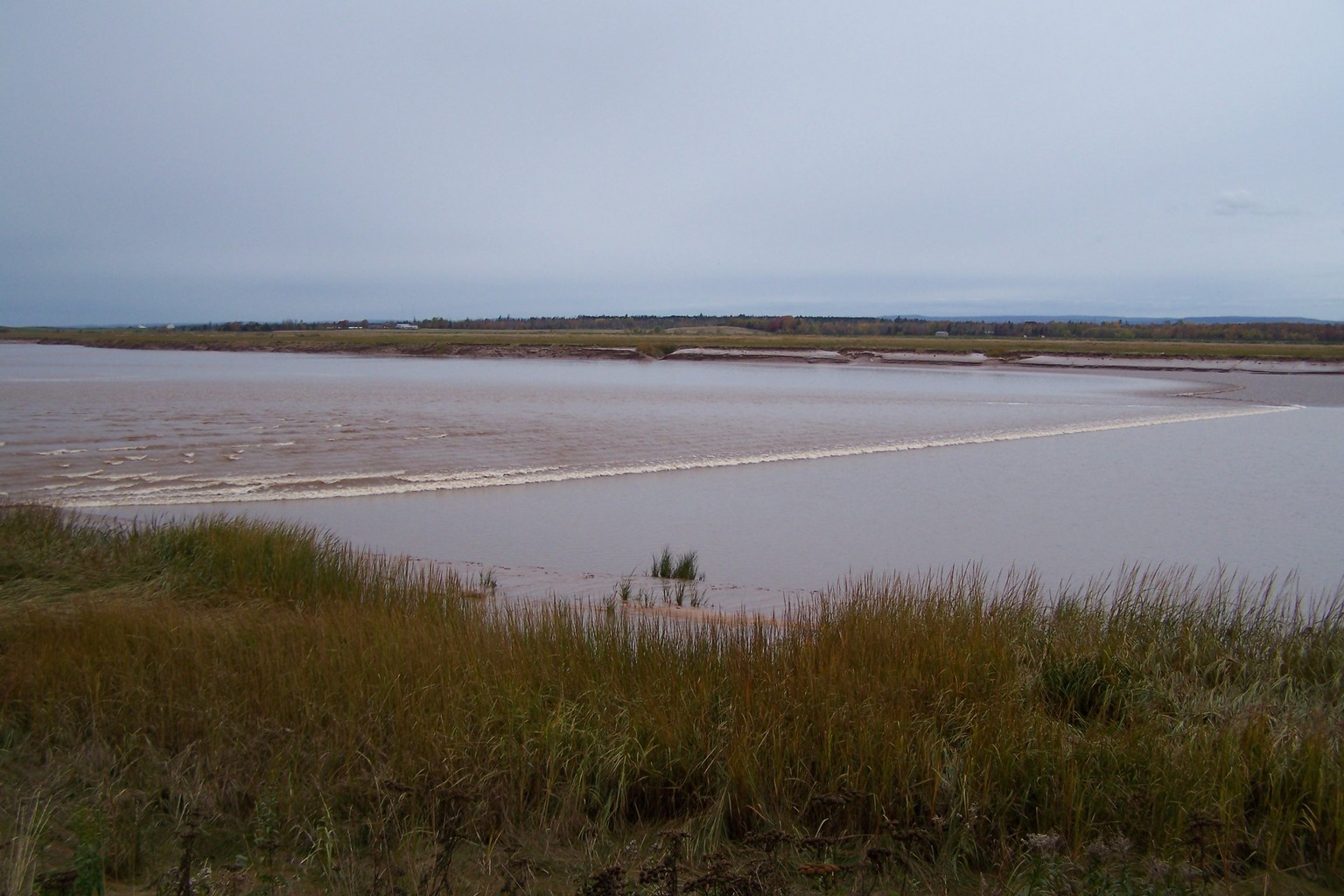 Features Of A River Basin Crossword