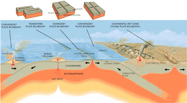 Features Of The Ocean Floor Diagram