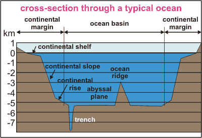 Features Of The Ocean Floor Diagram