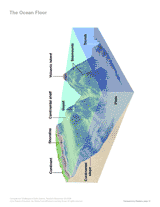 Features Of The Ocean Floor Diagram