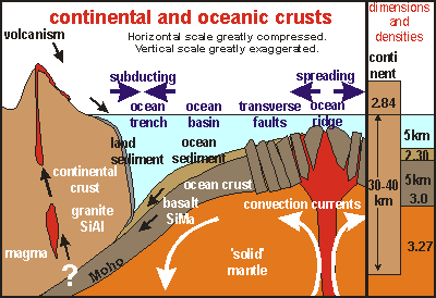 Features Of The Ocean Floor Diagram