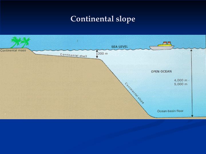 Features Of The Ocean Floor Diagram