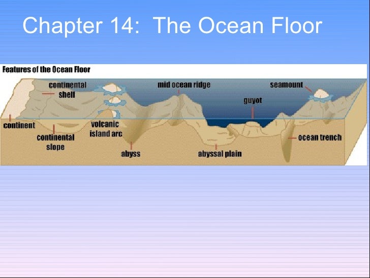 Features Of The Ocean Floor Video