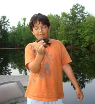 Feeder Fishing For Bream In Rivers