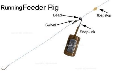 Feeder Fishing Setup