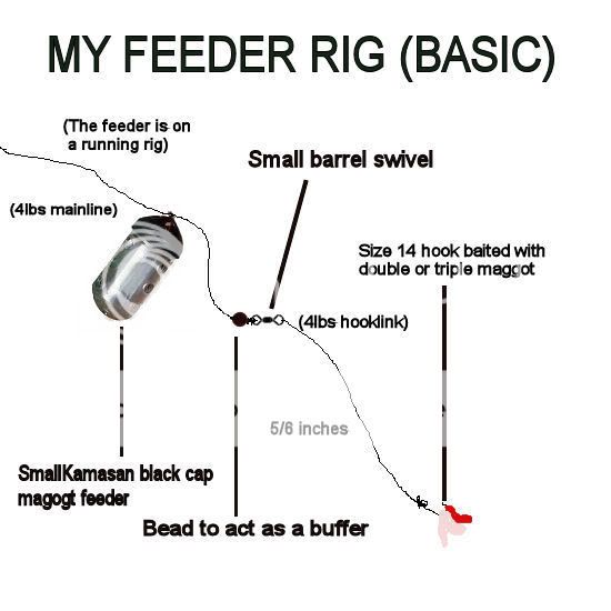 Feeder Rigs For Bream