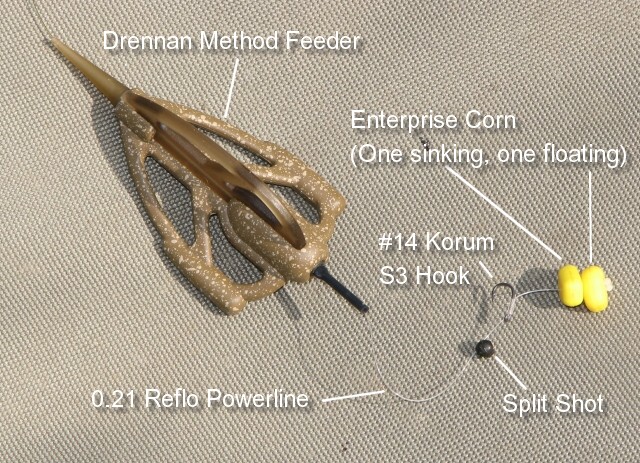 Feeder Rigs For Bream