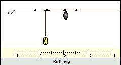 Feeder Rigs For Carp