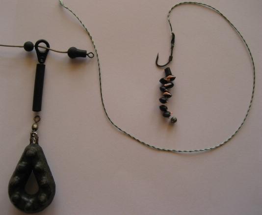 Feeder Rigs For Carp