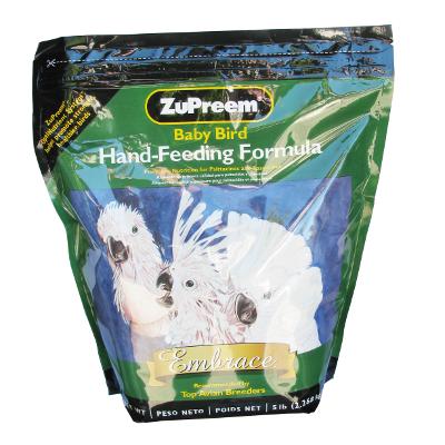 Feeding Baby Birds Formula