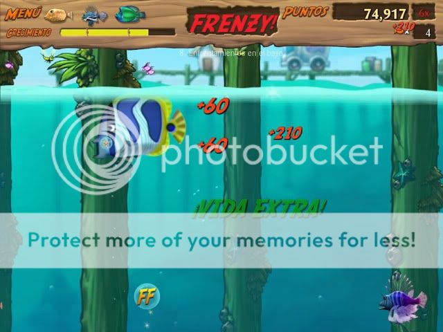 Feeding Frenzy 2 Download Full Version Crack