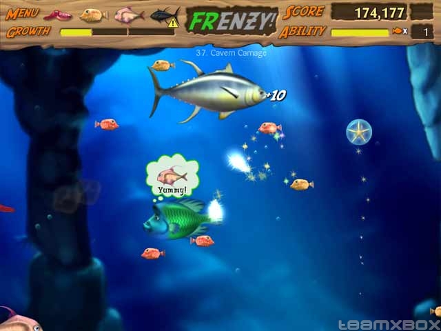 Feeding Frenzy 2 Free Download Full Version No Trial