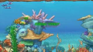 Feeding Frenzy 2 Shipwreck Showdown Game