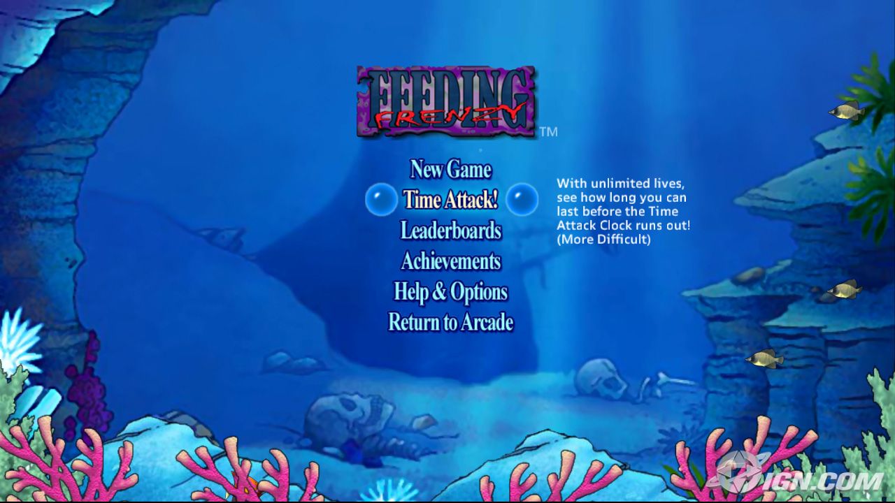 Feeding Frenzy Wallpaper