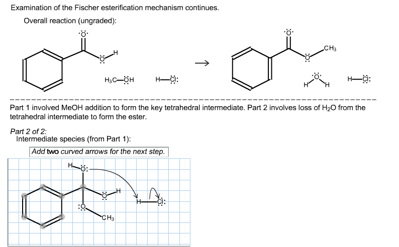 Fischer Esterification Mechanism