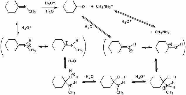 Fischer Esterification Mechanism