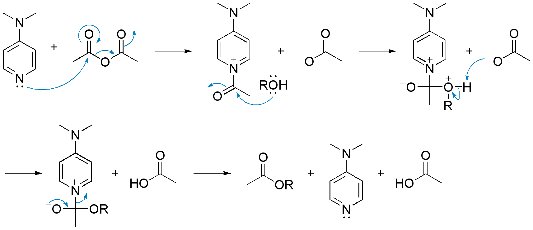 Fischer Esterification Mechanism