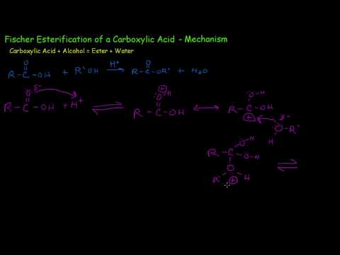 Fischer Esterification Mechanism Isoamyl Acetate