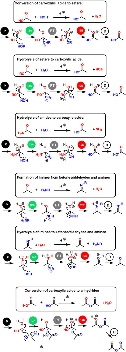 Fischer Esterification Mechanism With H2so4