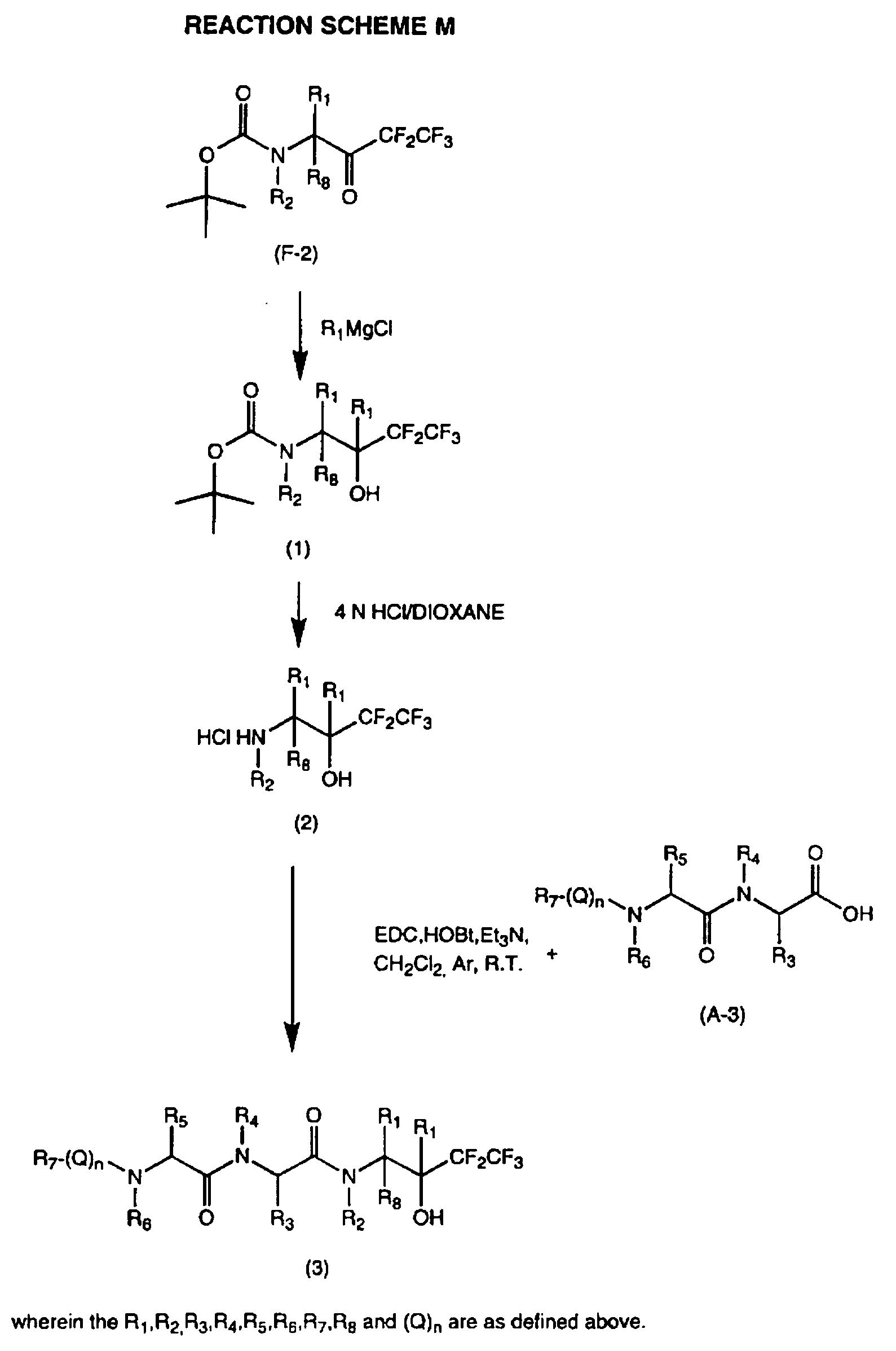 Fischer Esterification Reaction