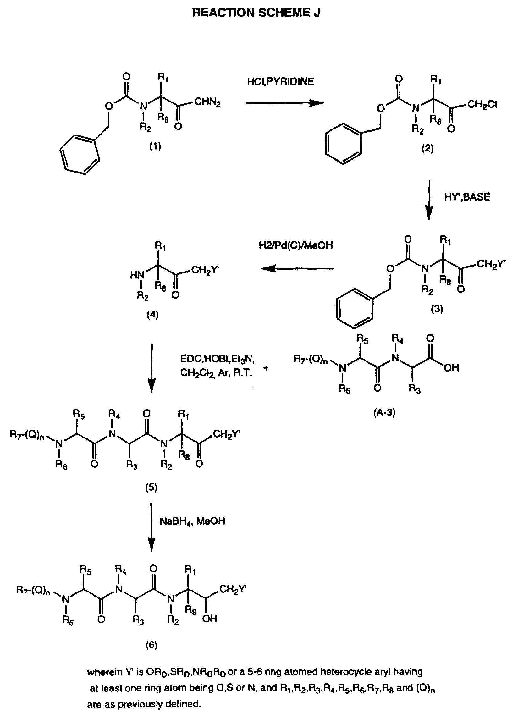 Fischer Esterification Reaction