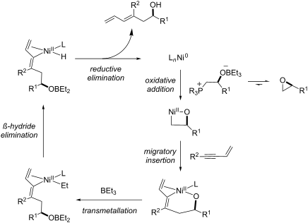 Fischer Esterification Reaction Conditions