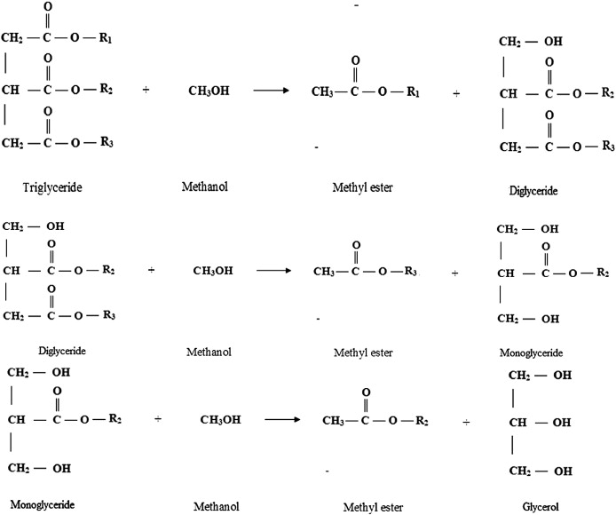 Fischer Esterification Reaction Mechanism