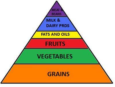 Five Food Groups For Kids