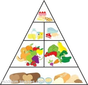 Five Food Groups For Kids