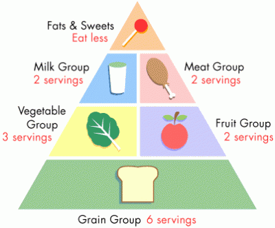 Five Food Groups For Kids