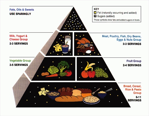 Five Food Groups Plate