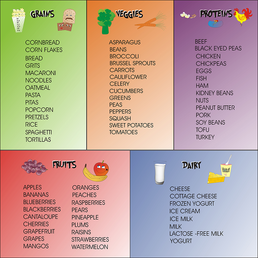 Five Food Groups Plate