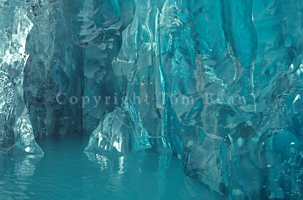 Floating In Blue Glacier Bay Alaska