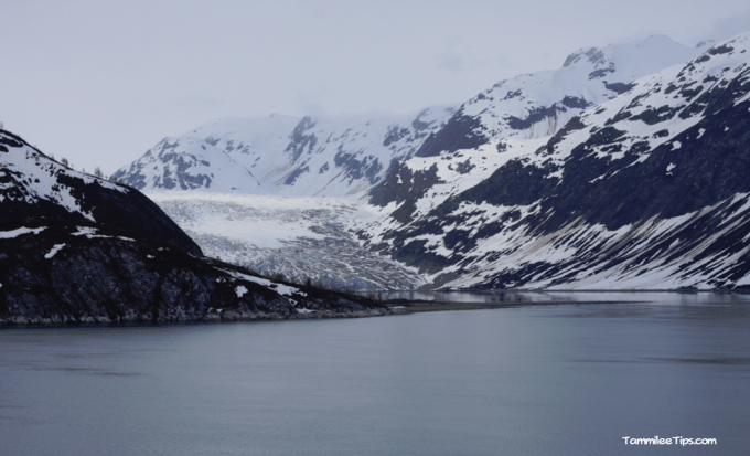 Floating In Blue Glacier Bay Alaska