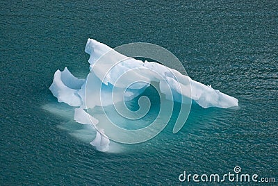 Floating In Blue Glacier Bay Alaska