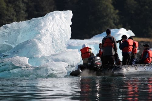 Floating In Blue Glacier Bay Alaska