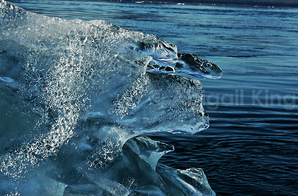 Floating In Blue Glacier Bay Alaska