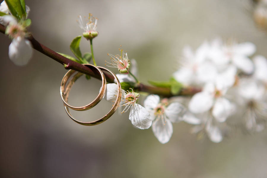 Flower Clips For Hair