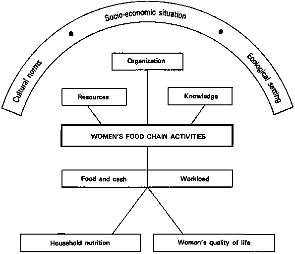 Food Chain Definition