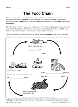 Food Chain Diagram