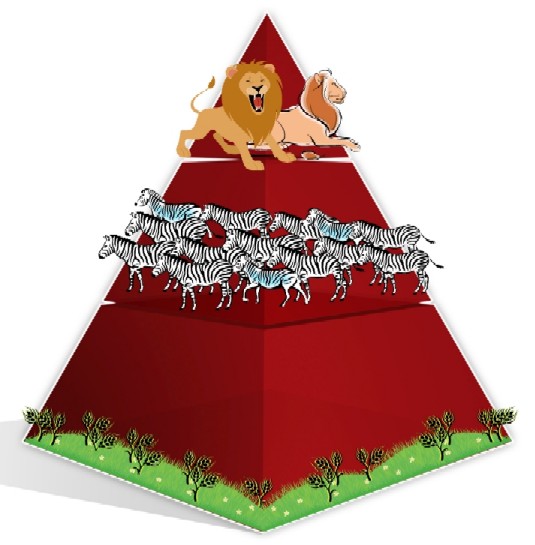 Food Chain Pyramid