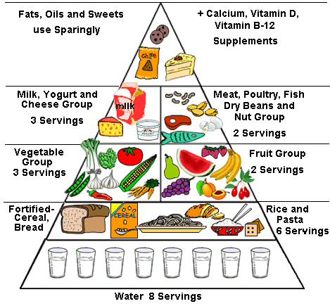 Food Groups Chart For Kids